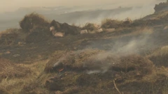 Požar u BiH, Foto: HTV/HRT 