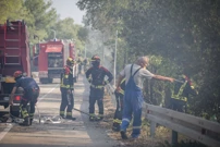 Požar kod Skradina, Foto: Nikolina Vukovic Stipanicev/Cropix
