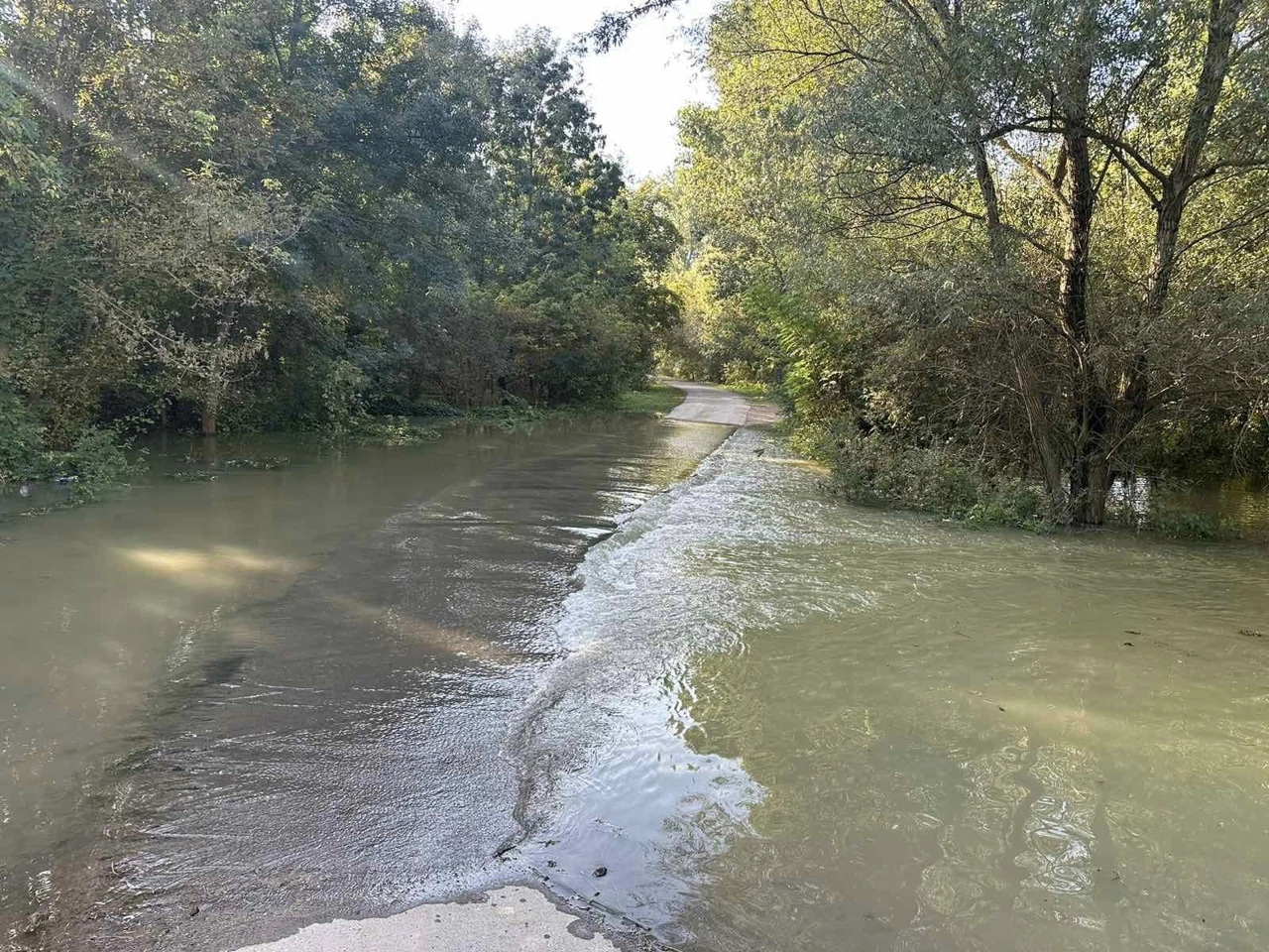 Dunav Batina