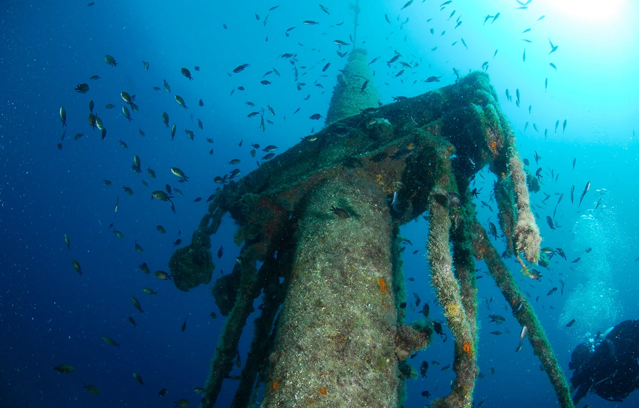 Potopljeni brod Peltastis