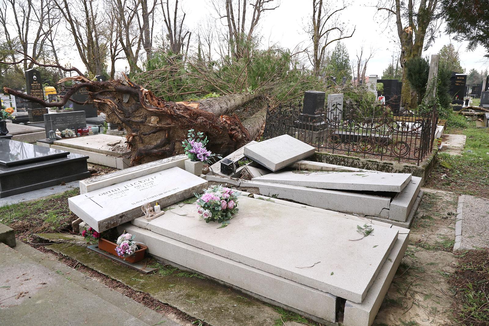 pxl 310326 149337520 20260402120410