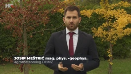 Josip Meštrić