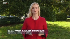 Ivana Čavlina Tomašević