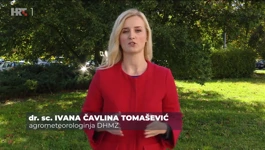 Ivana Čavlina Tomašević