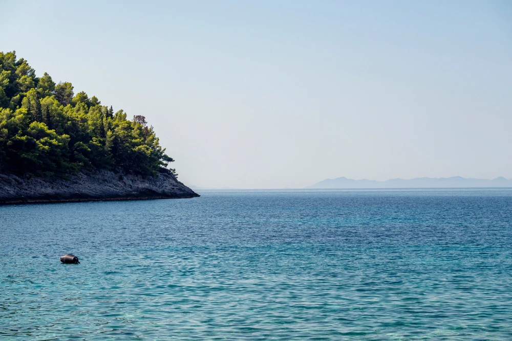 Modrulj s odašiljačem pliva Jadranom, podaci se očekuju za šest mjeseci