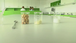 Proizvodnja proteina, vlakana i škroba preradom boba i krumpira
