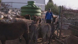 Farma braniteljske zadruge