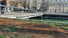Sadnja zelenila