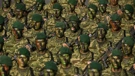 Desfile militar 