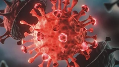 koronavirus