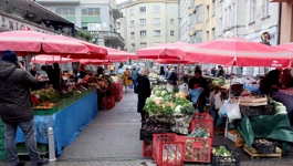 Prodavači na Splavnici