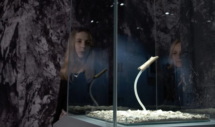 Neandertalska svirala