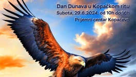 Međunarodni Dan Dunava u Kopačkom ritu  „Neka Dunav ostane plav“