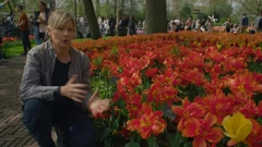 Nedjelja, 1. veljače na Prvom, Foto: Vrtlarica/6. sezona emisije