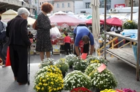 Ponuda cvijeća i cvijetnih aranžmana povodom Svih Svetih, Foto: Dusko Jaramaz/PIXSELL