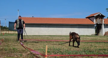 Obuka pasa za razminiranje