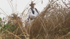 U Novoj Rači održan prikaz žetve na starinski način