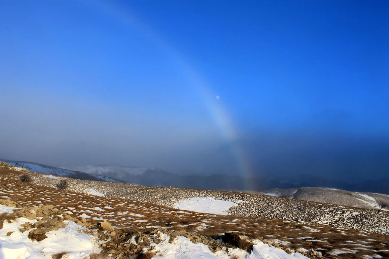 Horizonti spokoja - iskustvo prirode u objektivu Ive Vičića