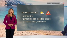 Dunja Plačko-Vršnak