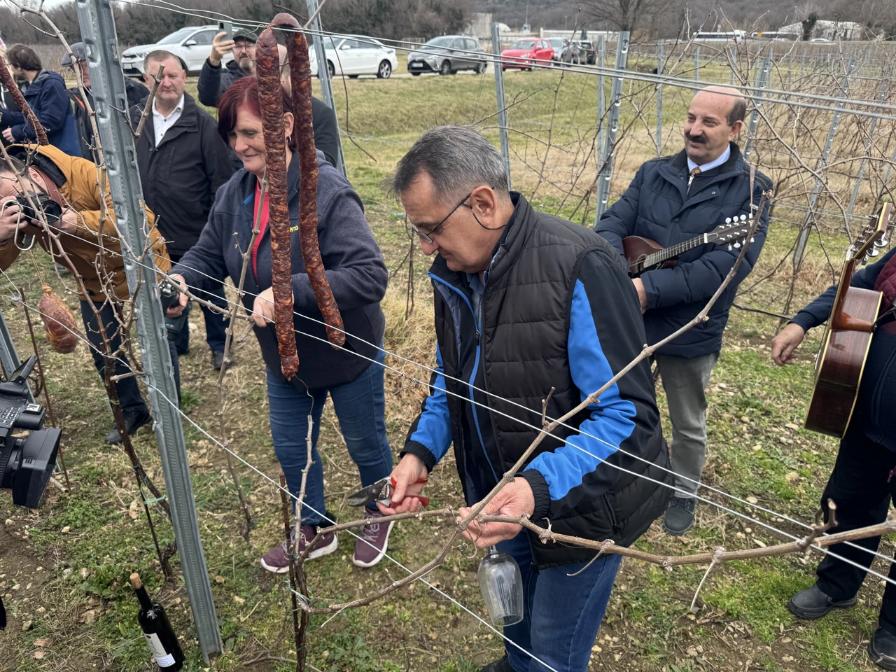 Orezivanje trsa u Pavlomiru, Foto: Vladimir Jurić/Radio Rijeka