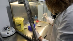 Testiranja u laboratoriju