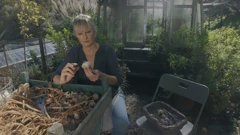 Nedjelja, 8. veljače na Prvom, Foto: Vrtlarica/6. sezona emisije