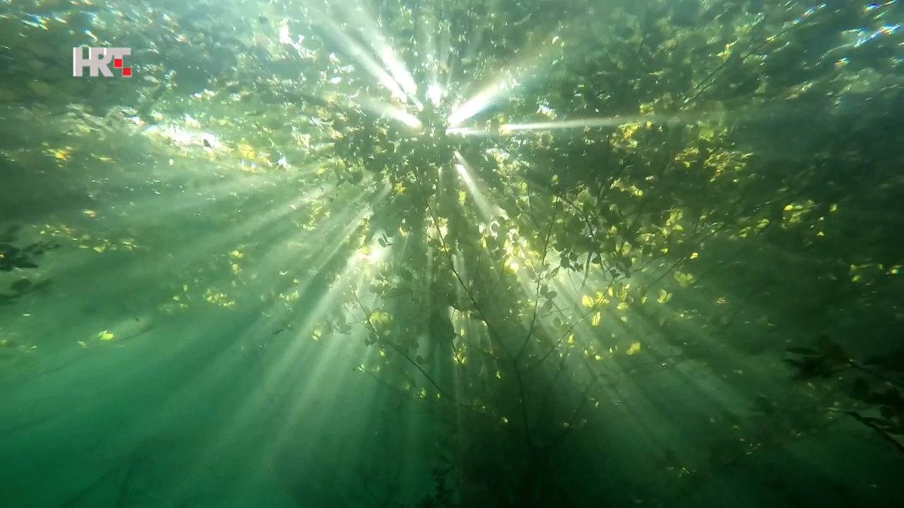 Jezero Ponikve očarava iznad i ispod površine, Foto: HTV/HRT