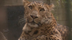 Subota, 14. ožujka na Prvom , Foto: Divlja ZOOna/dokumentarna serija 