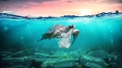 Onečišćenje plastikom postalo problem poput klimatskih promjena
