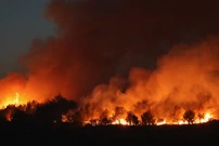 Požar se zbog jakog vjetra proširio na brdo pored Zatona, Foto: Dusko Jaramaz /Pixsell