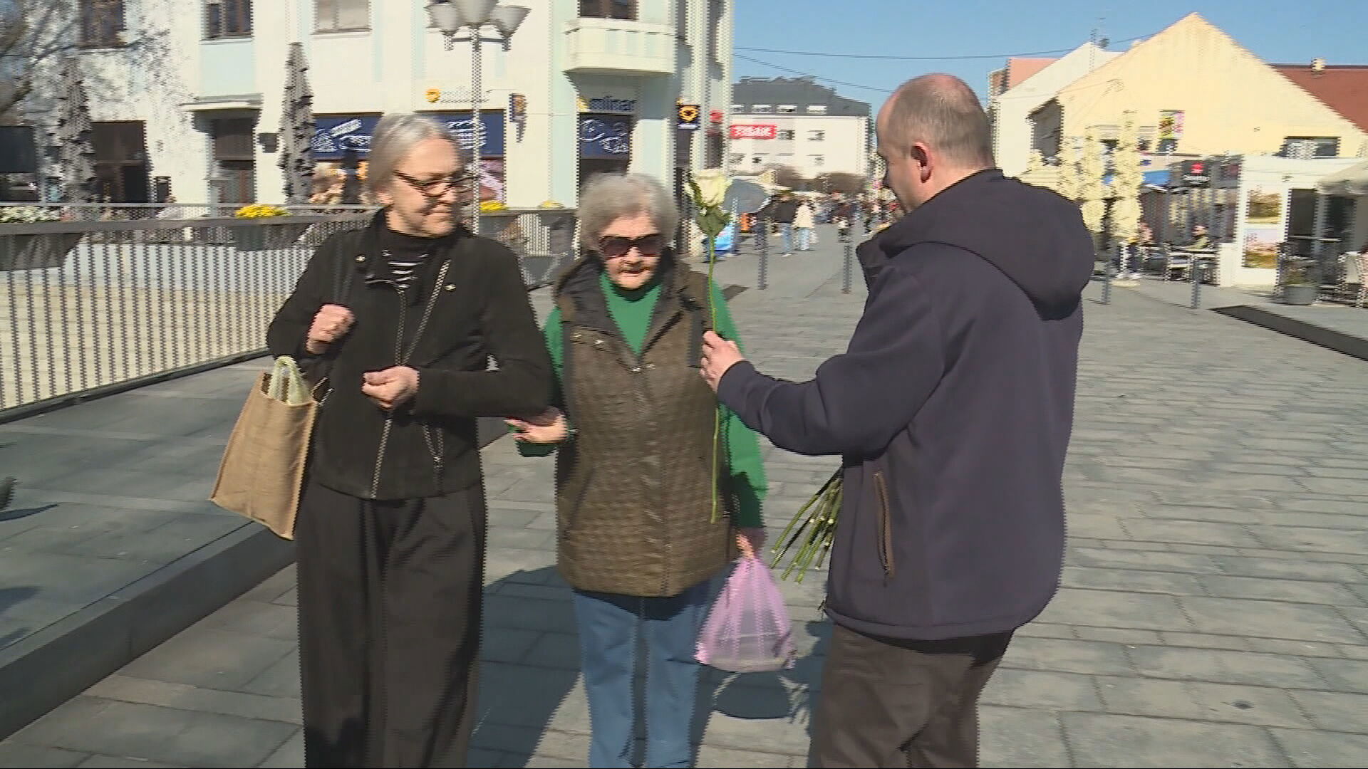 v13danzena frame 431 20260307123617