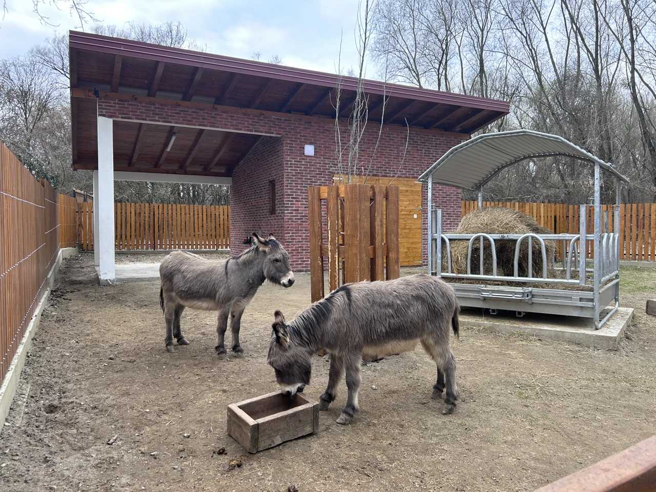 ., Foto: HRT Radio Osijek/HRT Radio Osijek