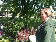 Festival cvijeća i drveća, Foto: HRT/Radio Osijek