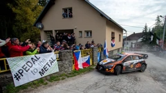 Thierry Neuville 