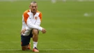 Wesley Sneijder