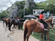 Krka fest, Foto: L.G./HRT
