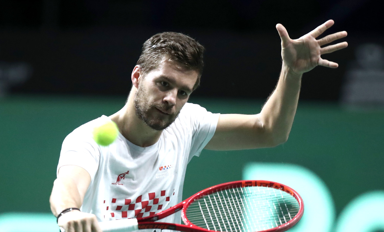 mektic nikola 20240510154201