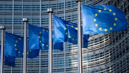 Europski put