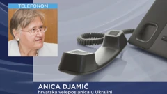 Veleposlanica Anica Djamić
