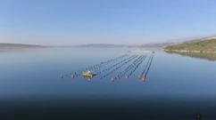 Tri mora, Foto: More/HRT