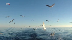 Zaštićena Jabučka kotlina, Foto: Plodovi zemlje/HRT