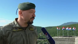 Damir Saladin