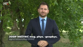 Josip Meštrić
