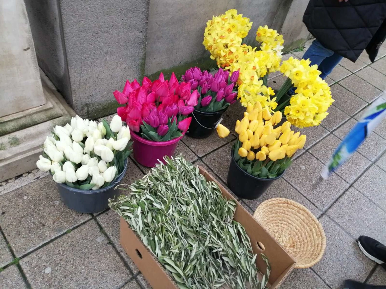 Cvjetnica ili Nedjelja Muke Gospodnje, Foto: HRT/Radio Osijek