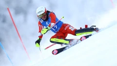 Zrinka Ljutić