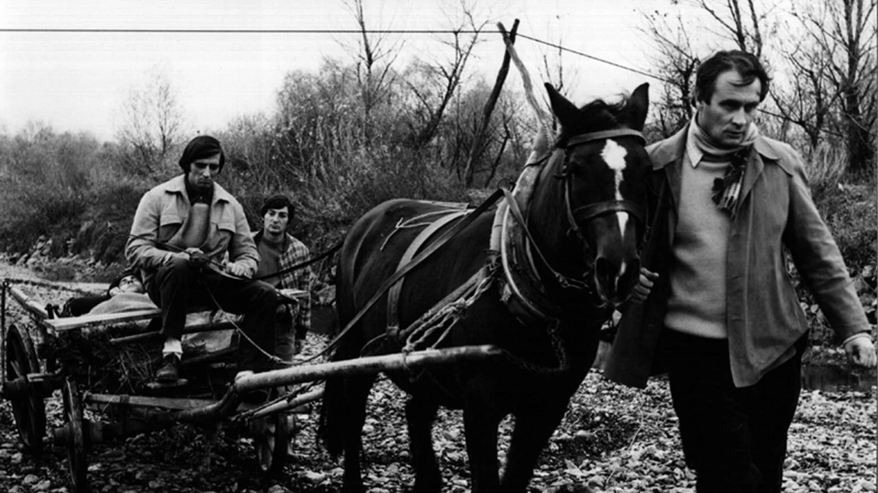 Subota, 19. ožujka na Prvom  , Foto: Kuda idu divlje svinje/serija