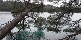 Mljet, smaragd Mediterana, Foto: Pogled na Nacionalni park Mljet (Foto: Tatjana Rau/Glas Hrvatske)/-