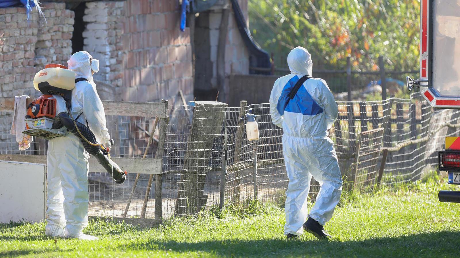 pxl 190925 138667336 20260120112738