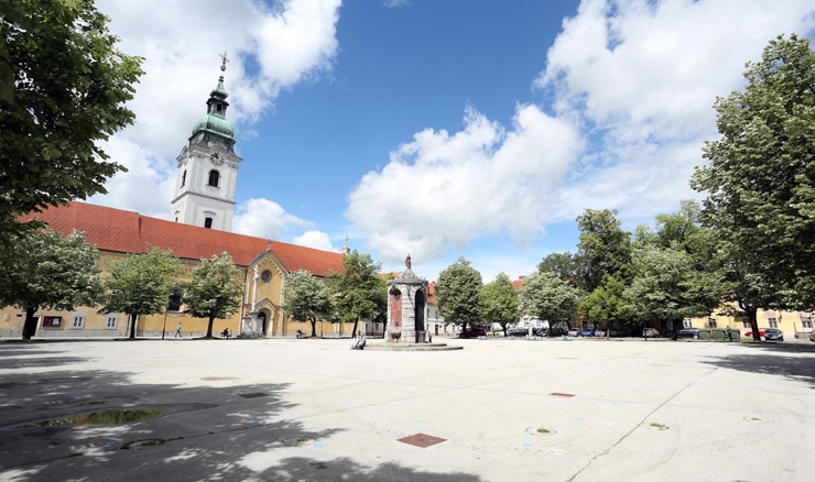 Karlovčani žele sačuvati stoljetne lipe, HDZ gura projekt da ih sruši