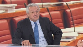 Dario Marenić